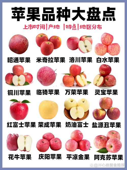 苹果树修剪必须遵循“冬季整形、夏季控旺”原则