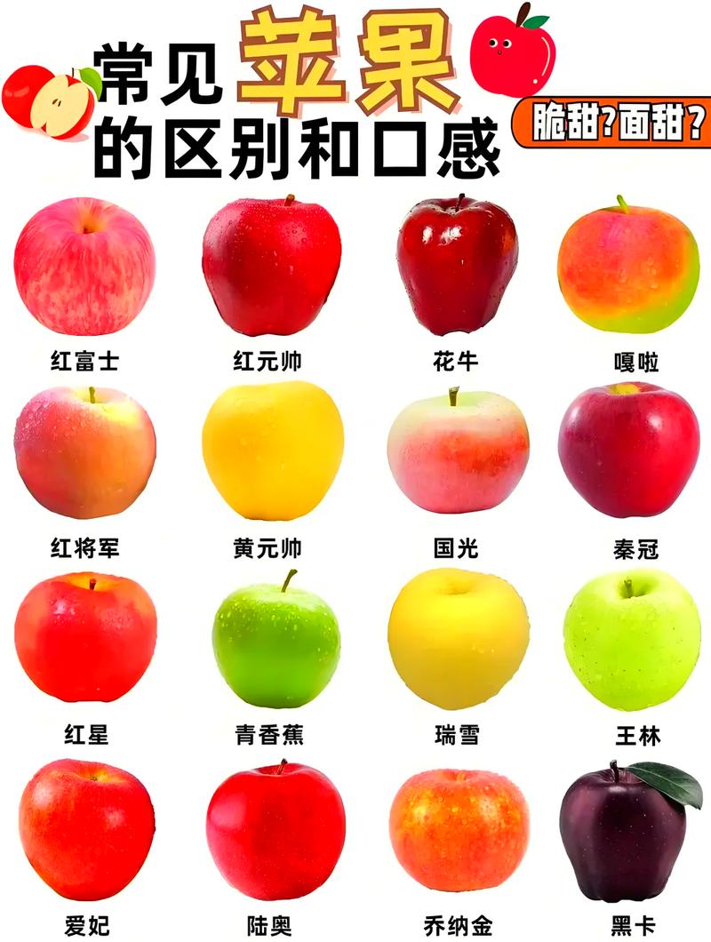 苗木采购必须执行“一看嫁接口、二看根系、三看苗龄”黄金标准