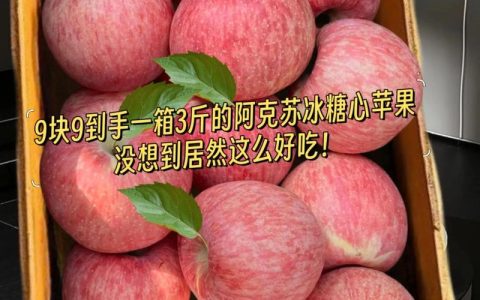 新疆最好的苹果是哪个品种？阿克苏冰糖心苹果与红富士苹果的6大维度对比