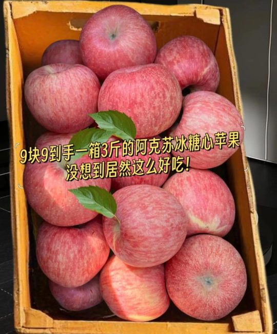 新疆最好的苹果是哪个品种？阿克苏冰糖心苹果与红富士苹果的6大维度对比