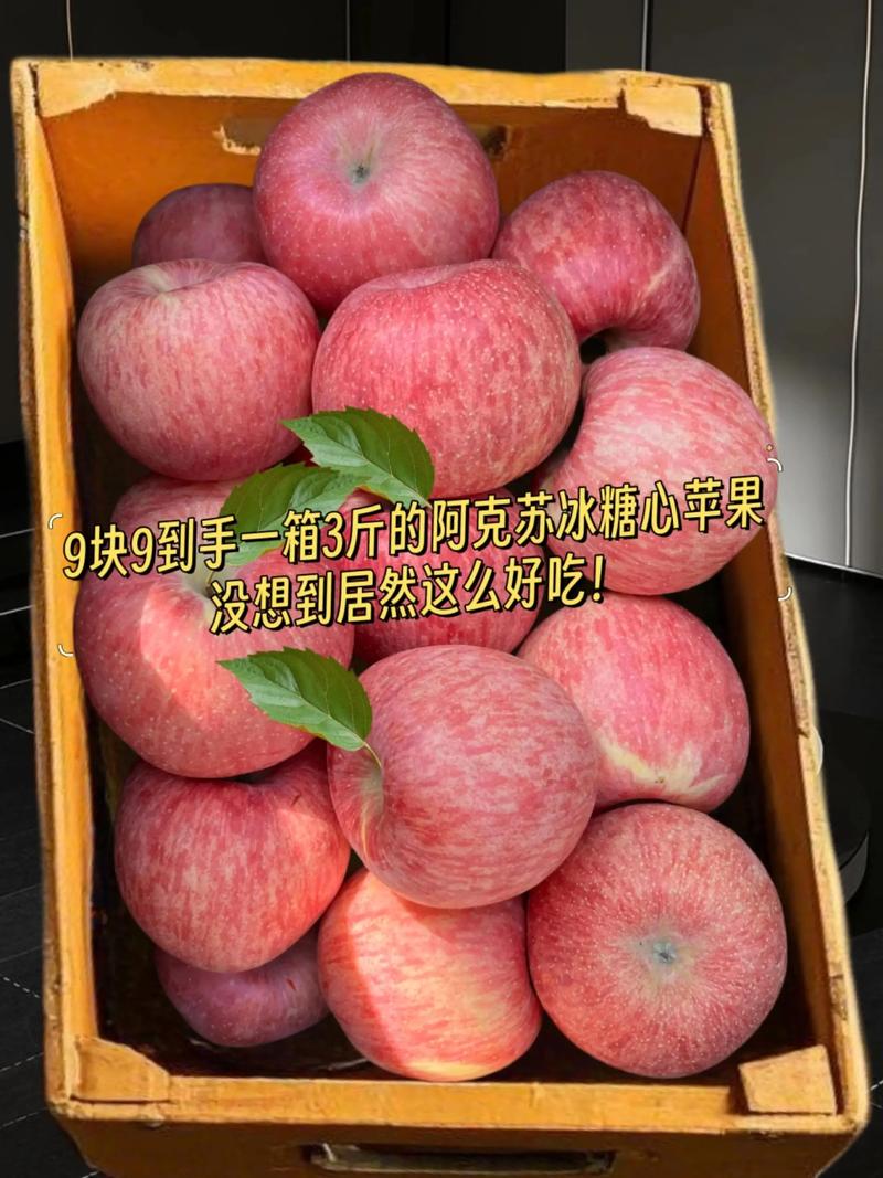 新疆最好的苹果是哪个品种?阿克苏冰糖心苹果与红富士苹果的6大维度对比 新疆最好的苹果是哪个品种?阿克苏冰糖心苹果与红富士苹果的6大维度对比