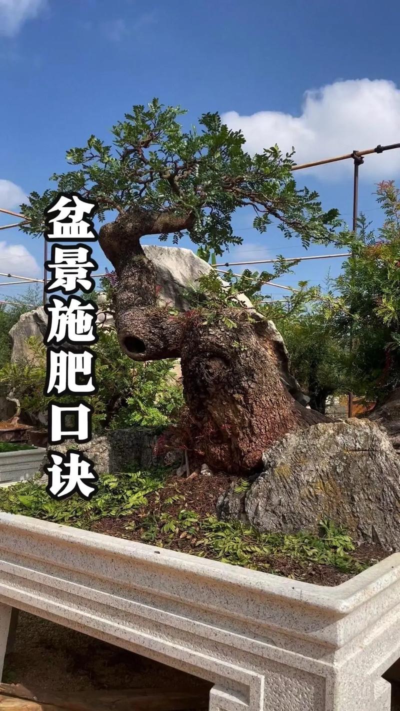 树木壮杆多施什么肥?掌握关键施肥技巧,让树干挺拔粗壮 五、总结