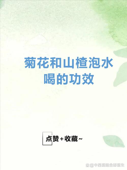 山楂菊花怎么泡?掌握黄金配比,消食明目一步到位 禁忌人群:五类人不宜饮用
