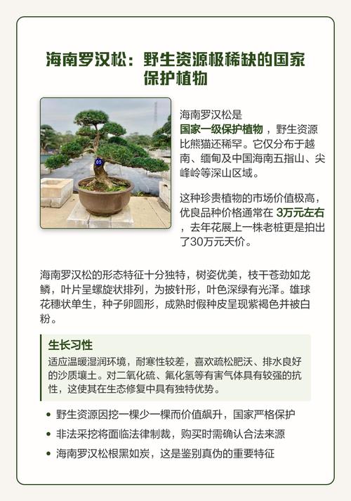 三、维度逻辑解释