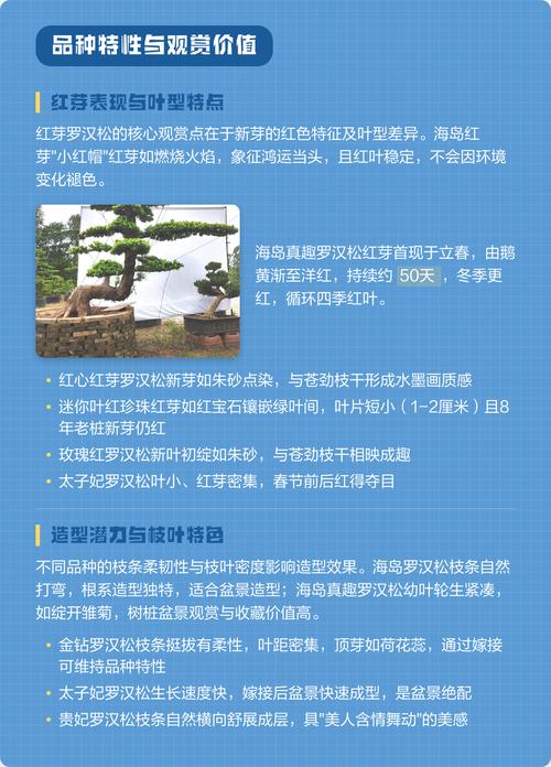 四、场景化选择建议