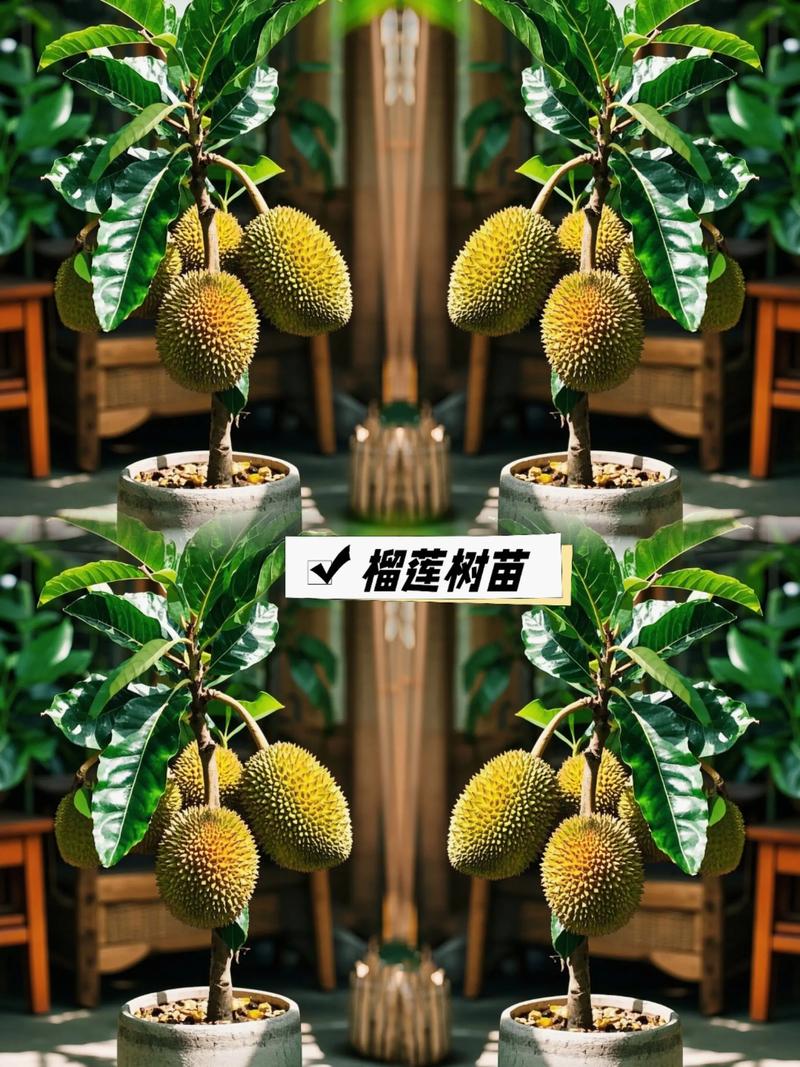 二、土壤环境