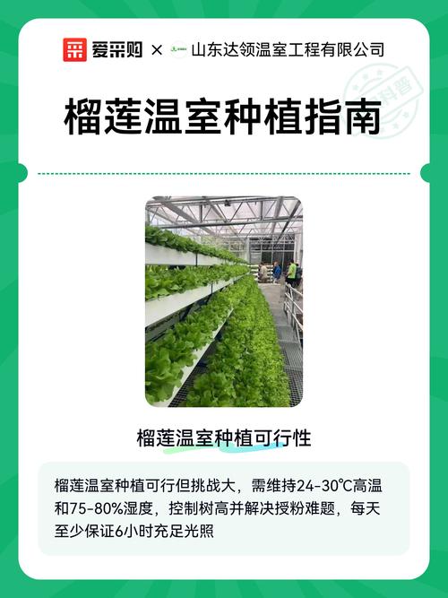 四、栽植深度