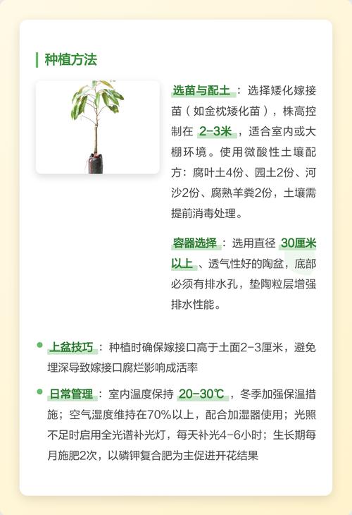六、缓苗管理