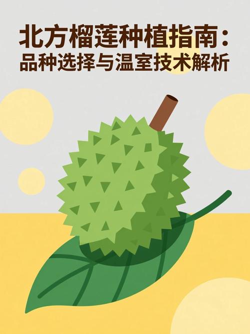 总结：榴莲北方种植可行性