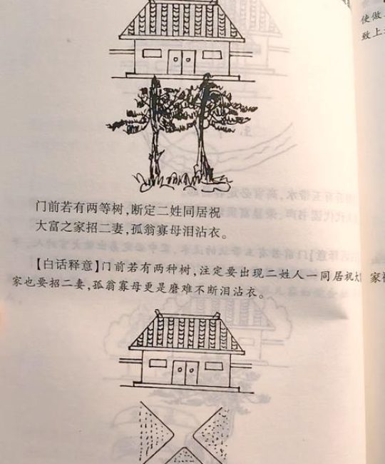 门前栽柳树有什么讲究？传统风水与园艺实用指南