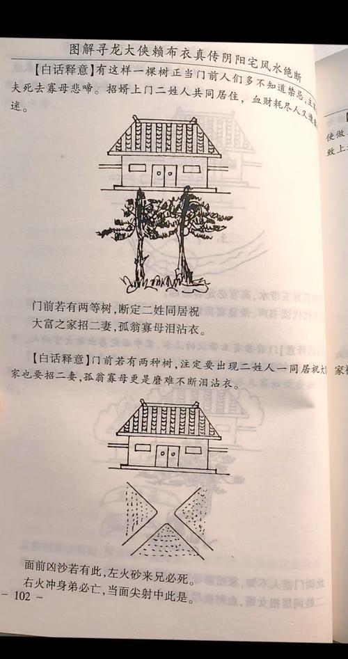 门前栽柳树有什么讲究?传统风水与园艺实用指南 一、传统风水中的“柳”与“留”