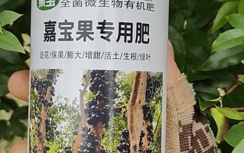 嘉宝果树施肥全攻略：肥料配比、施用时间及产量效益分析
