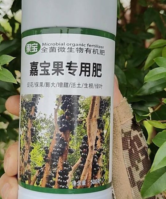 嘉宝果树施肥全攻略：肥料配比、施用时间及产量效益分析