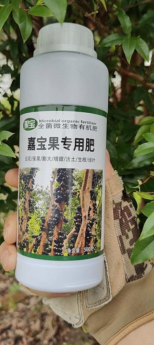 嘉宝果树施肥全攻略:肥料配比、施用时间及产量效益分析 嘉宝果树施肥全攻略:肥料配比、施用时间及产量效益分析