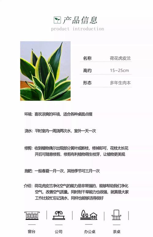 四川夏天适合种什么花?耐热耐湿品种推荐与养护指南 三、四川夏季花卉养护的南北差异化建议