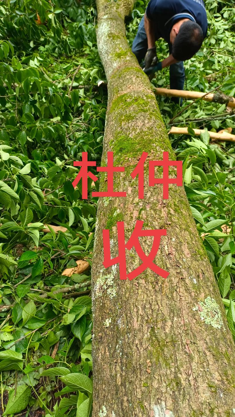 价格快速参考