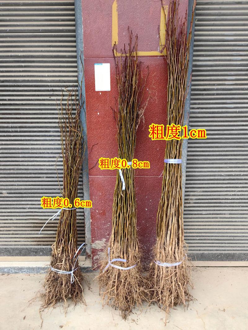 季节因素：采购时机决定成本