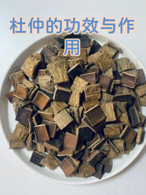 杜仲苗子价格影响因素速查表