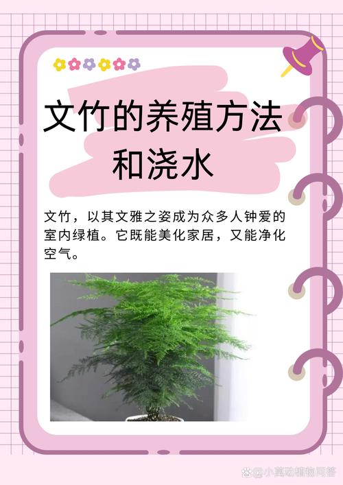 屋里能种竹子吗?室内盆栽竹全流程成活指南 二、土壤环境:必须用疏松透气的微酸性土