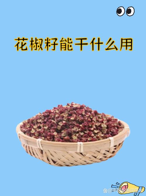 花椒籽能干什么用?种植方法与禁忌全解析 花椒籽能干什么用?种植方法与禁忌全解析