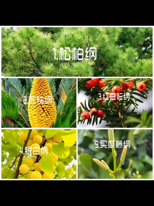 结语