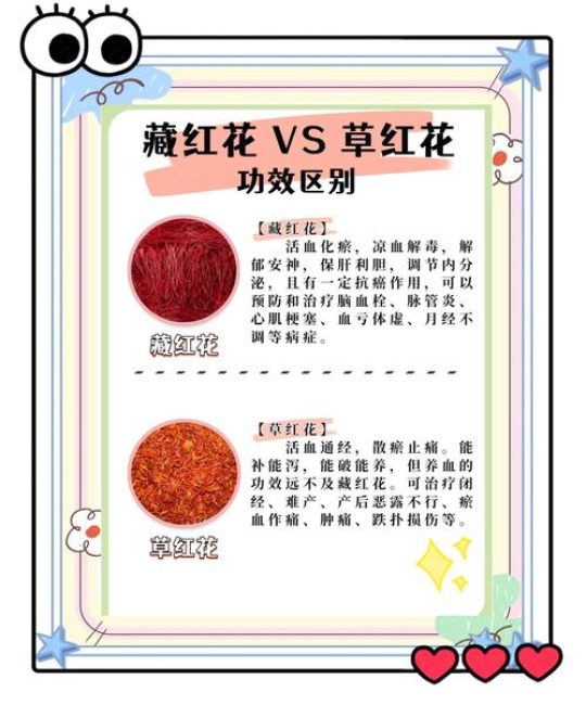 藏红花和红花一样吗？——6大维度对比帮你彻底分清