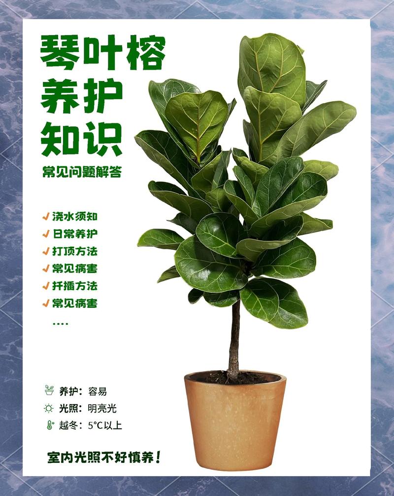 日常养护管理