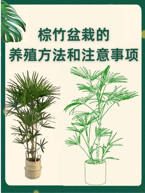 常见问题与风险预警