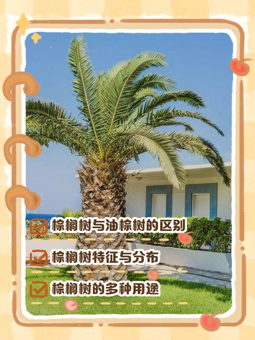 FAQ（常见问题）