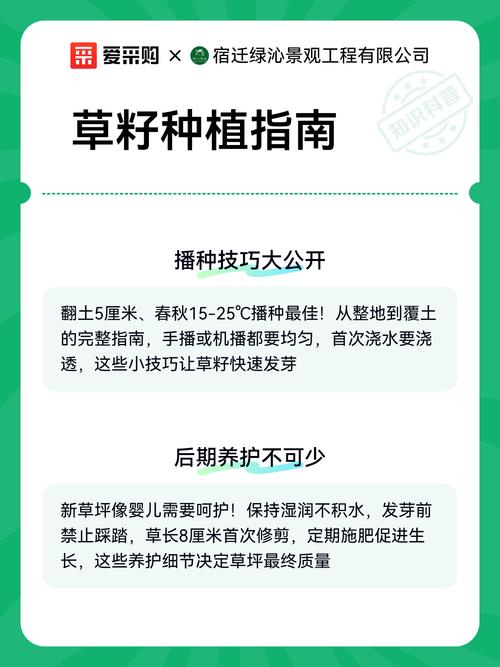 撒完草籽要浇水吗?草籽播种后的正确浇水与养护指南 施肥:出苗前不追肥,成坪后可补充启动肥