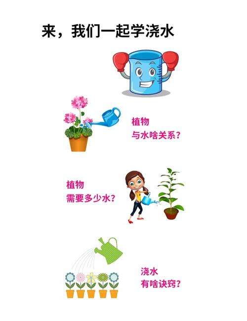 撒完草籽要浇水吗?草籽播种后的正确浇水与养护指南 修剪:等草长到一定高度再开始,遵循“三分之一原则”