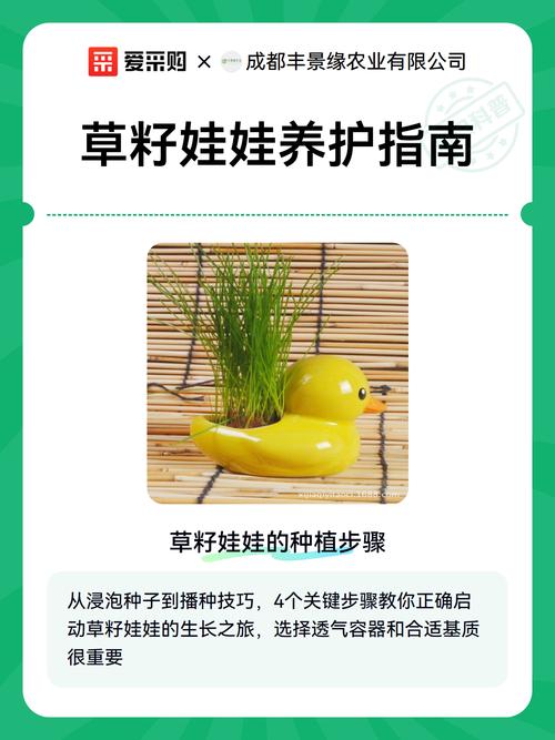 撒完草籽要浇水吗?草籽播种后的正确浇水与养护指南 越冬越夏:根据草种类型和当地气候动态调整养护策略