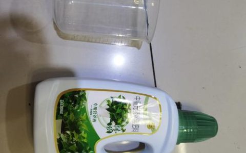 水培绿萝用什么肥料？家庭施肥指南