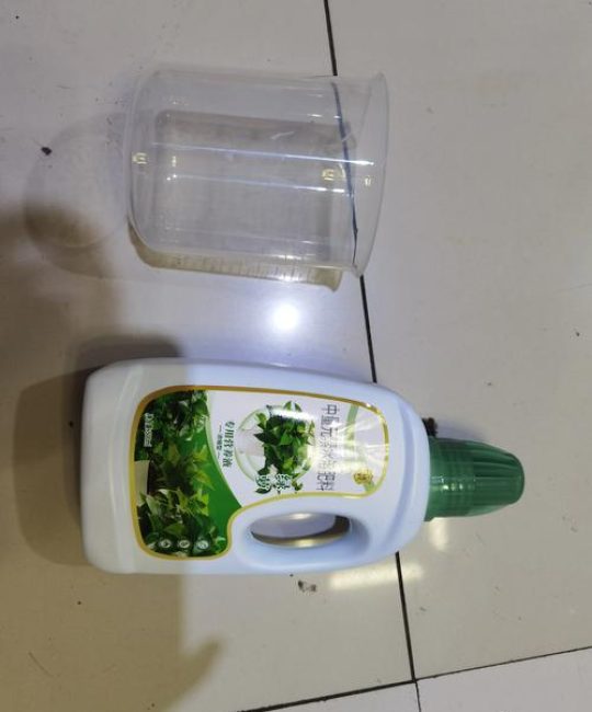 水培绿萝用什么肥料？家庭施肥指南