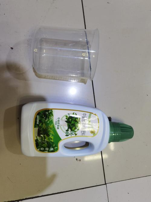 水培绿萝用什么肥料？家庭施肥指南