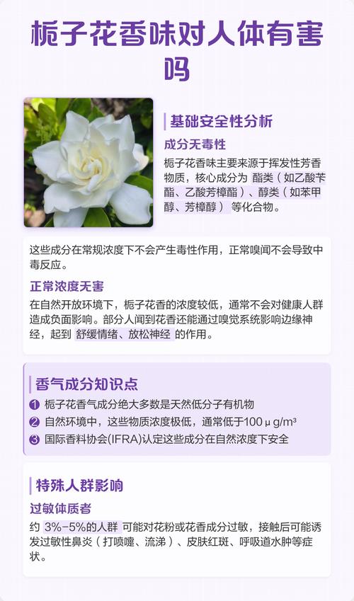 栀子花的香味对人的身体好不好?食用、药用及安全性全解析 二、食用常识:花瓣与果实的利用