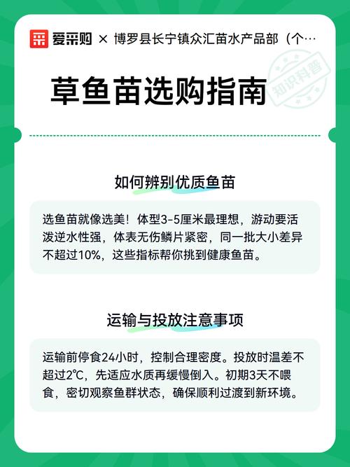 草鱼苗购买渠道选择指南:科学评估供应商的六个步骤 步骤二:品种真实性核查与规格匹配度分析