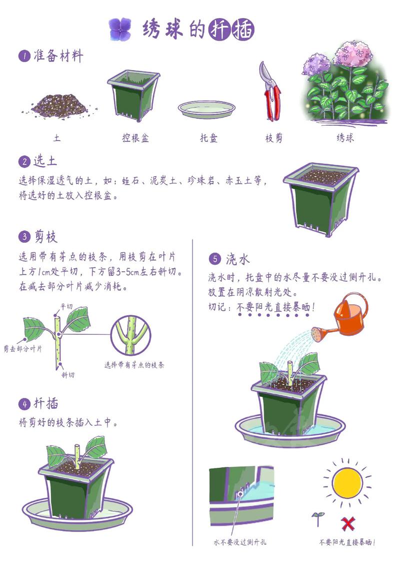 修剪促花系统指导