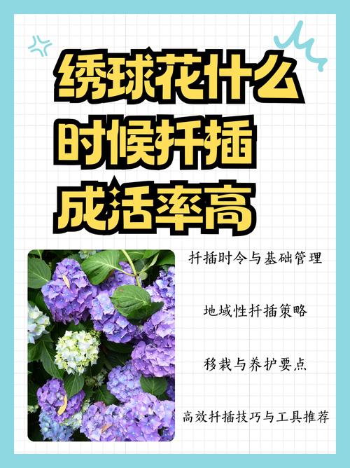 盆栽与地栽选择决策