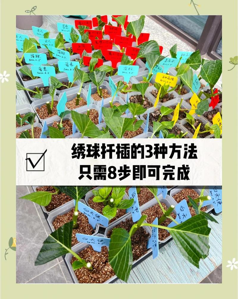 常见误区与纠正