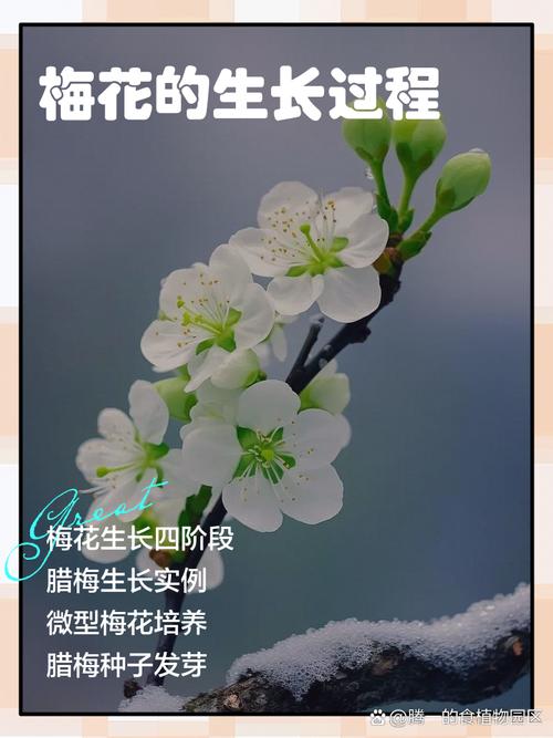 结语