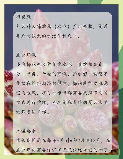 一只梅花鹿的花园奇遇——园艺防护与生态平衡指南 生态平衡:接纳与共存