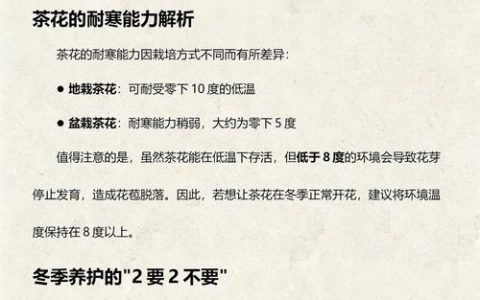 盆栽茶花耐寒温度是多少？精准数据与南北越冬方案详解