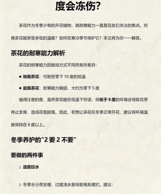 盆栽茶花耐寒温度是多少？精准数据与南北越冬方案详解