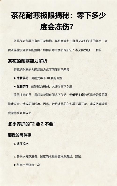 盆栽茶花耐寒温度是多少?精准数据与南北越冬方案详解 一、茶花的耐寒基础与品种差异