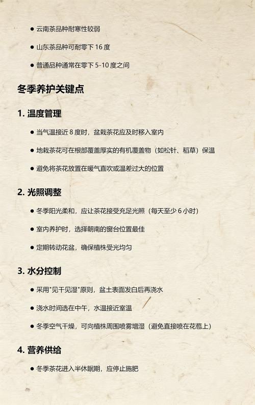 盆栽茶花耐寒温度是多少?精准数据与南北越冬方案详解 二、影响盆栽茶花耐寒的关键因素