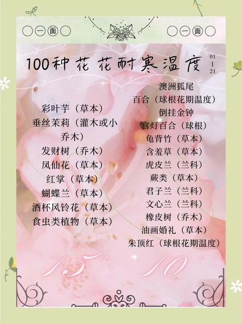 盆栽茶花耐寒温度是多少?精准数据与南北越冬方案详解 结语