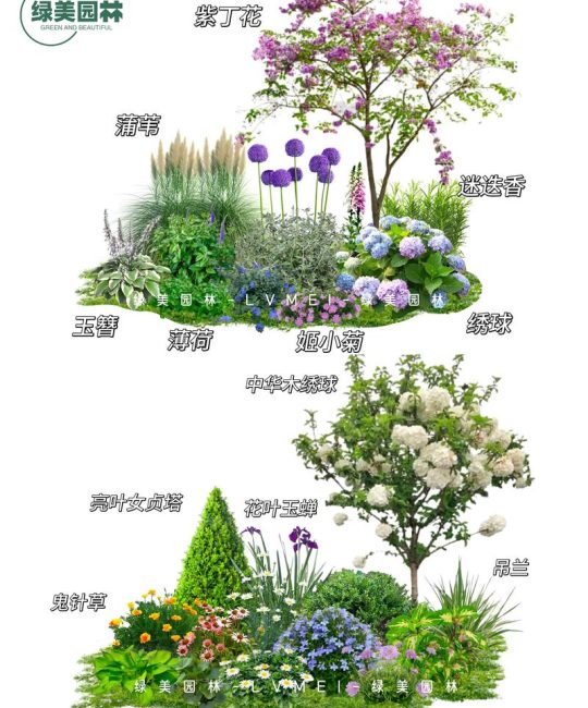 什么样的花适合种在院子里？一篇帮你选对家花的实用指南