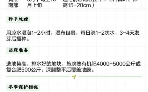 莴笋苗怕冻吗？一文讲清耐寒真相与安全越冬技巧