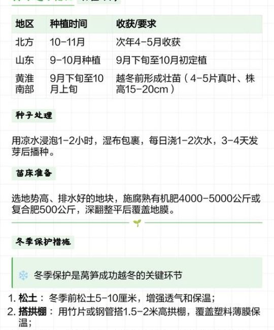 莴笋苗怕冻吗？一文讲清耐寒真相与安全越冬技巧